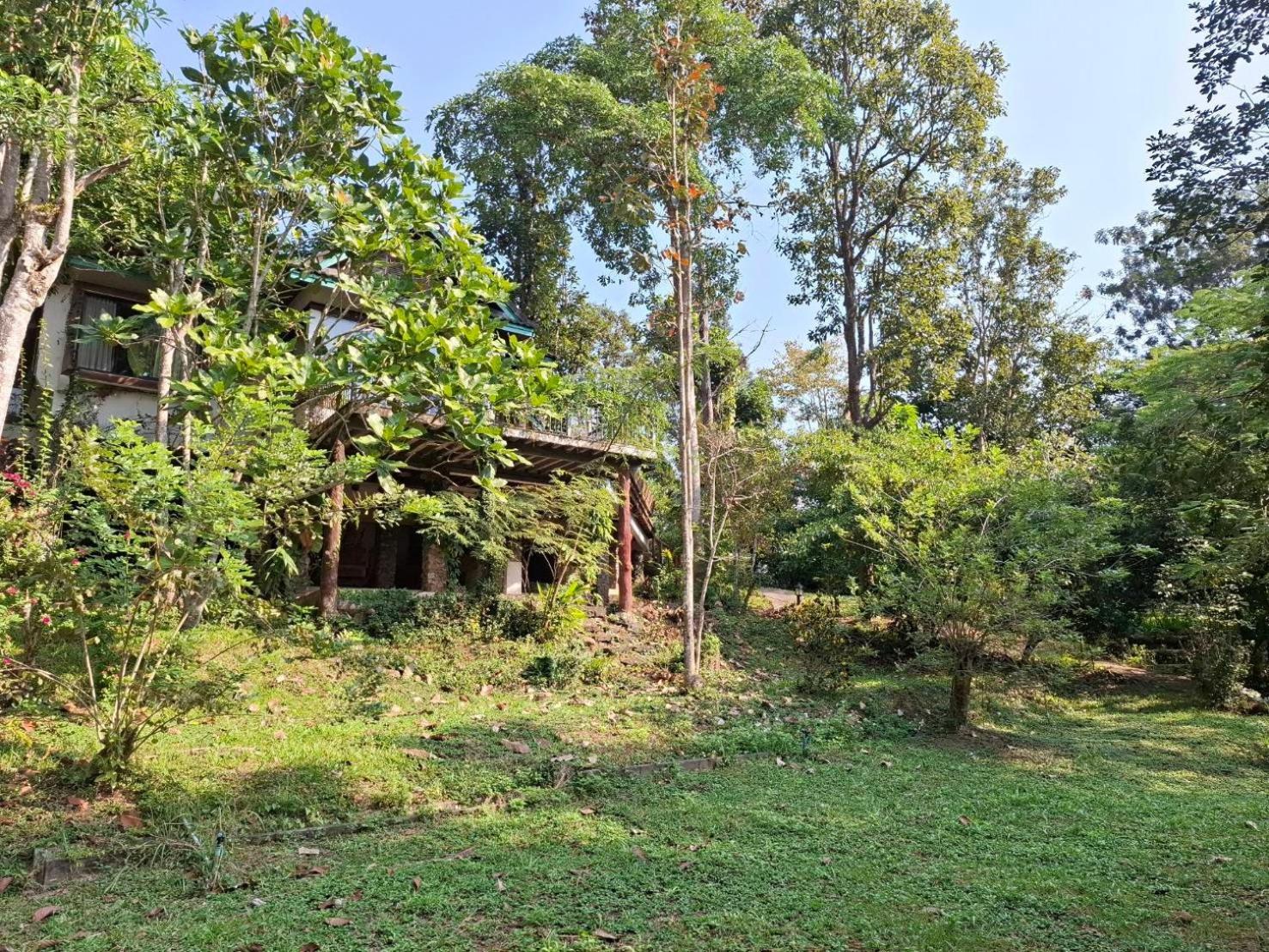 Balmy Hideout Cafe & Homestay Ban Huai Kaeo Exterior foto